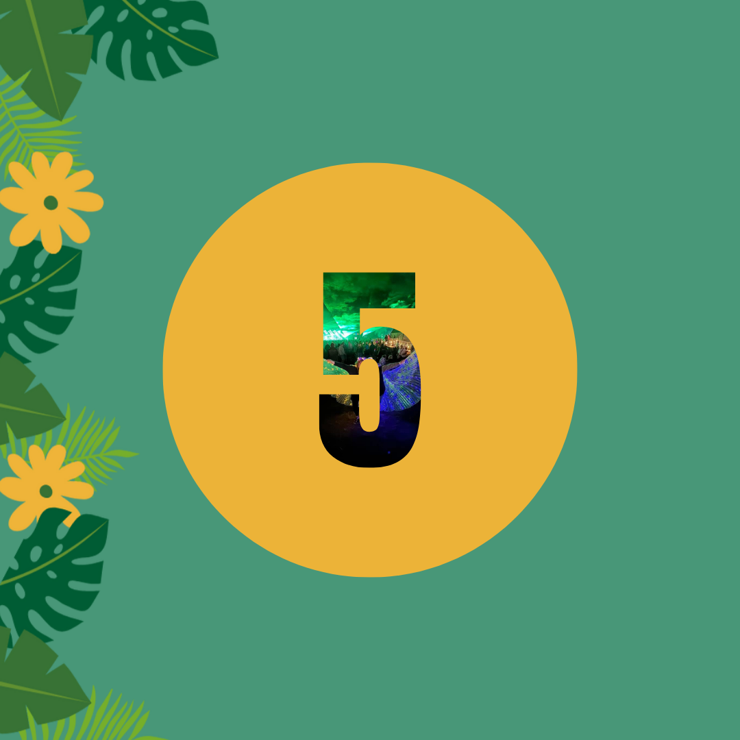 Reason 5 Reason 5